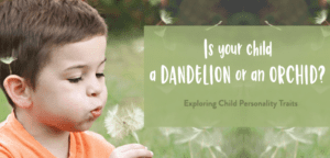 Child Blowing Whisps of Dandelion