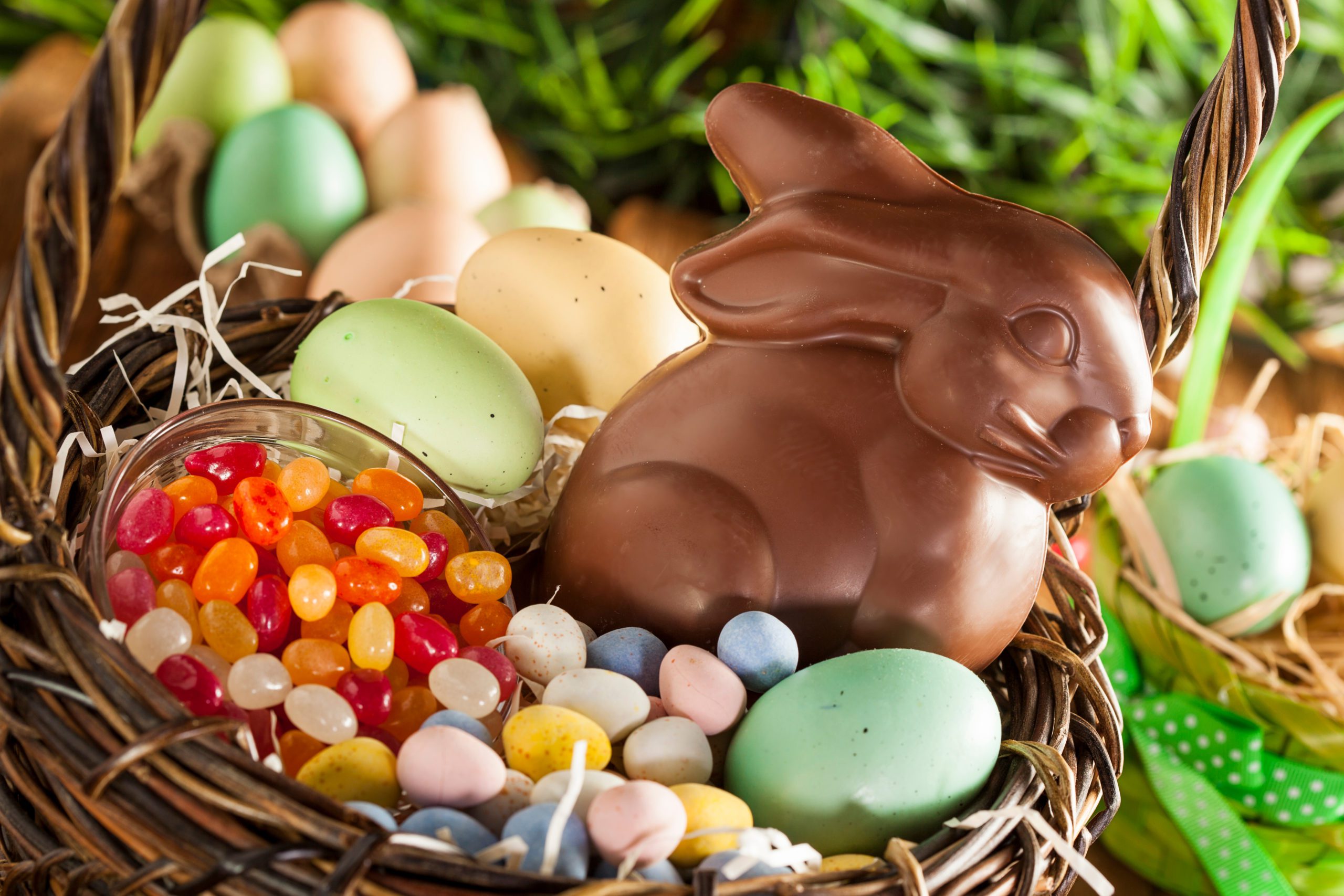 chocolate easter bunny with jelly beans and colored eggs in a brown easter basket in the grass
