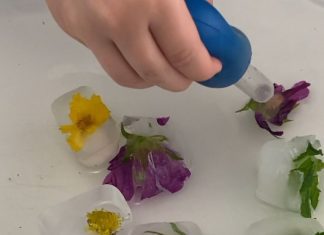 flowers frozen into ice cubes, and a child’s hand with a water dropper, trying to melt the ice as a science experiment
