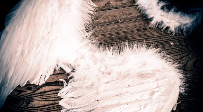 feathered angel wings and a feathered halo on a wooden background