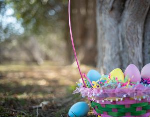 an Easter basket full of eggs