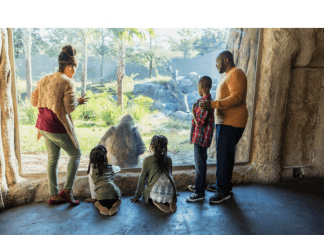 an African American family visiting the zoo