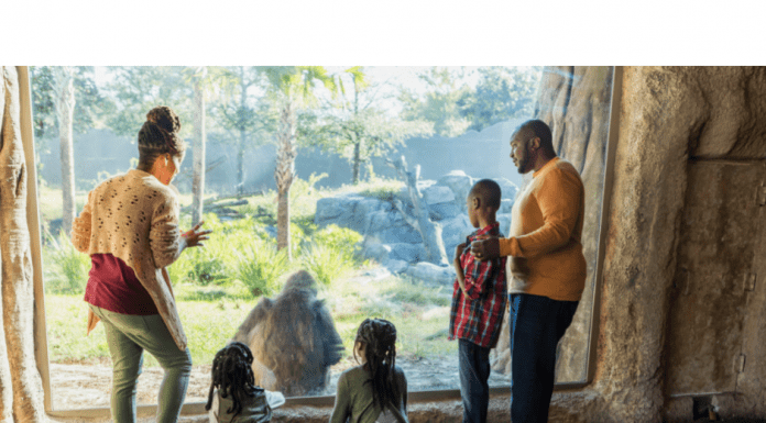 an African American family visiting the zoo
