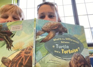 Josh and I found books about turtles at the Kidzeum in Springfield, IL.